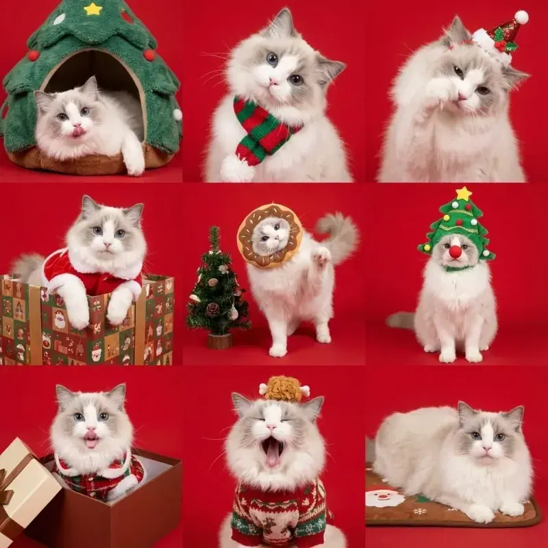 Christmas Pet Portrait Grid — After